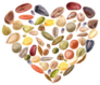 Heart Shaped Seeds Sticker