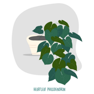 Heartleaf Philodendron Indoor Potted Plant Sticker