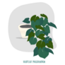 Heartleaf Philodendron Indoor Potted Plant Sticker