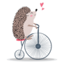 Hedgehog Bicycle Sticker