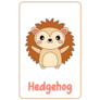 Hedgehog Flashcard Sticker
