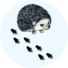 Hedgehog Footprints Sticker