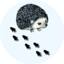 Hedgehog Footprints Sticker