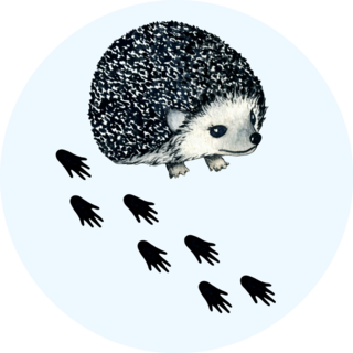Hedgehog Footprints Sticker