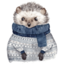 Hedgehog In Sweater Sticker