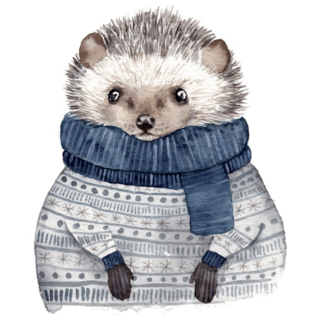 Hedgehog In Sweater Sticker