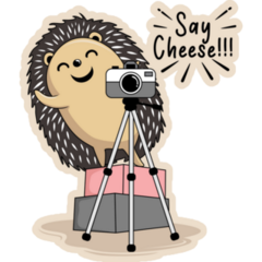 Hedgehog Say Cheese Sticker