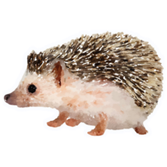 Hedgehog Wildlife Sticker