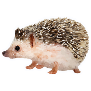 Hedgehog Wildlife Sticker
