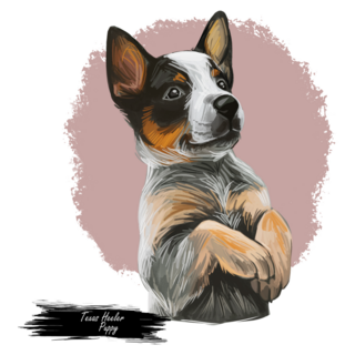 Heeler Puppy Art Sticker
