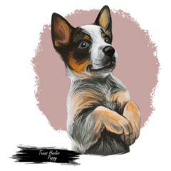 Heeler Puppy Art Sticker