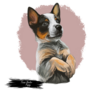Heeler Puppy Art Sticker
