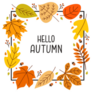 Hello Autumn Square Frame Seasonal Sticker
