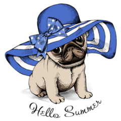 Hello Blue Summer Sun Sticker