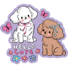 Hello Cute Poodle Sticker