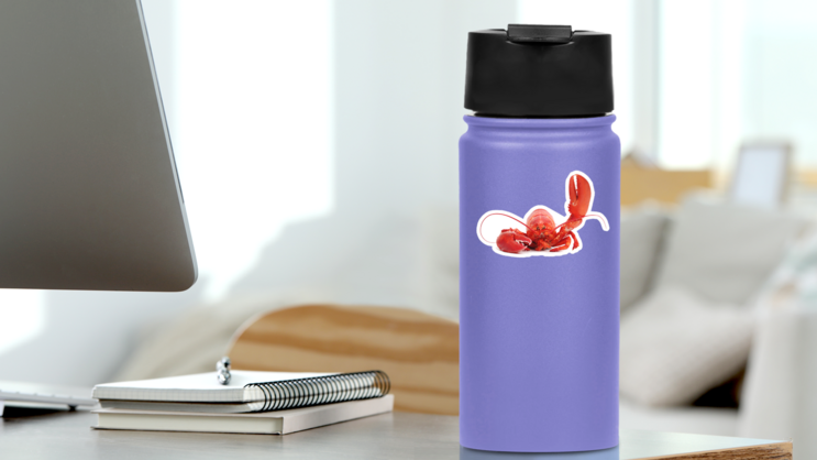Hello Lobster Sticker on a Water Bottle (New) example