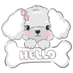 Hello Poodle Sticker