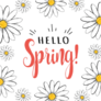 Hello Spring Daisies Sticker