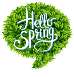 Hello Spring In A Speech Bubble Of Green Leaves Sticker