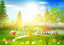 Hello Spring Meadow Sticker