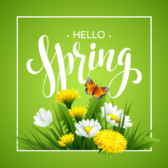 Hello Spring With Flowers Sticker