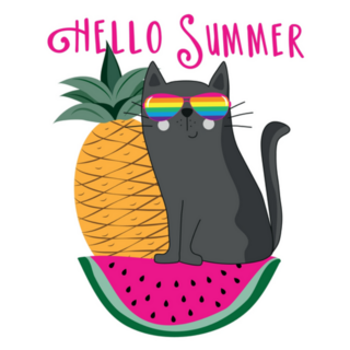 Hello Summer Cool Cat Rainbow Glasses Sticker