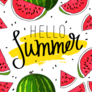 Hello Summer Illustrated Watermelon Sticker
