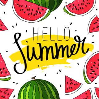 Hello Summer Illustrated Watermelon Sticker