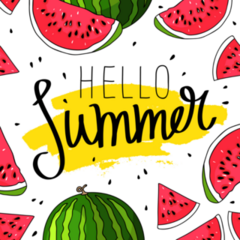 Hello Summer Illustrated Watermelon Sticker