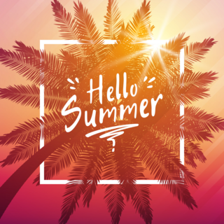 Hello Summer Palm And Frame Sticker