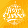 Hello Summer Retro Sticker