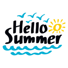 Hello Summer Seagulls Sticker