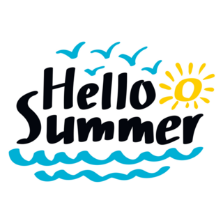 Hello Summer Seagulls Sticker