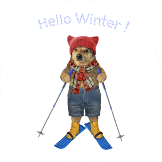 Hello Winter Dog On Skis Sticker