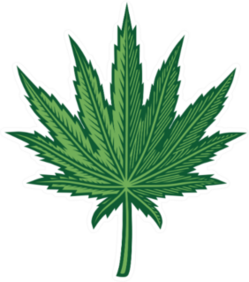 Hemp Leaf Sticker