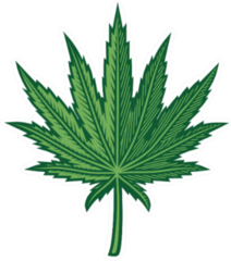 Hemp Leaf Sticker