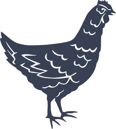 Hen Chicken Sticker