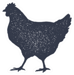 Hen, Chicken Vintage Logo Sticker