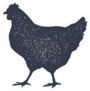 Hen, Chicken Vintage Logo Sticker