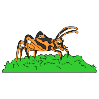 Here Is Light Orange Grasshopper Standing On The Grass Sticker 