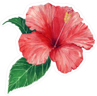 Hibiscus and Leaves Sticker