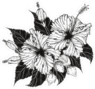 Hibiscus Flower Illustration Sticker