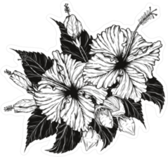 Hibiscus Flower Illustration Sticker