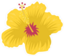 Hibiscus Flower Yellow Sticker
