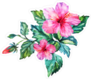 Hibiscus Flowers and Buds Sticker