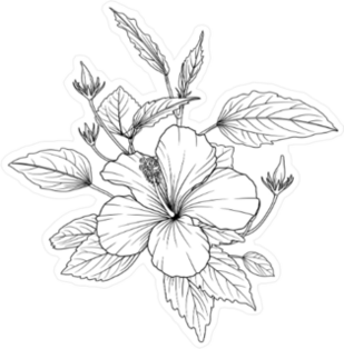 Hibiscus Flowers Sketch Sticker