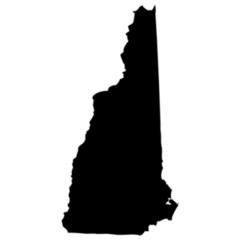 High Detailed Map - New Hampshire Sticker