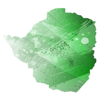 High Detailed Zimbabwe Watercolor Sticker