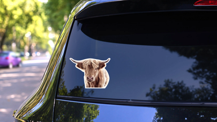 Highland Cow Brown Sticker on a Rear Car Window (New) example