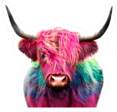 Highland Cow Colorful Dyed Hair, Punk Concept Sticker